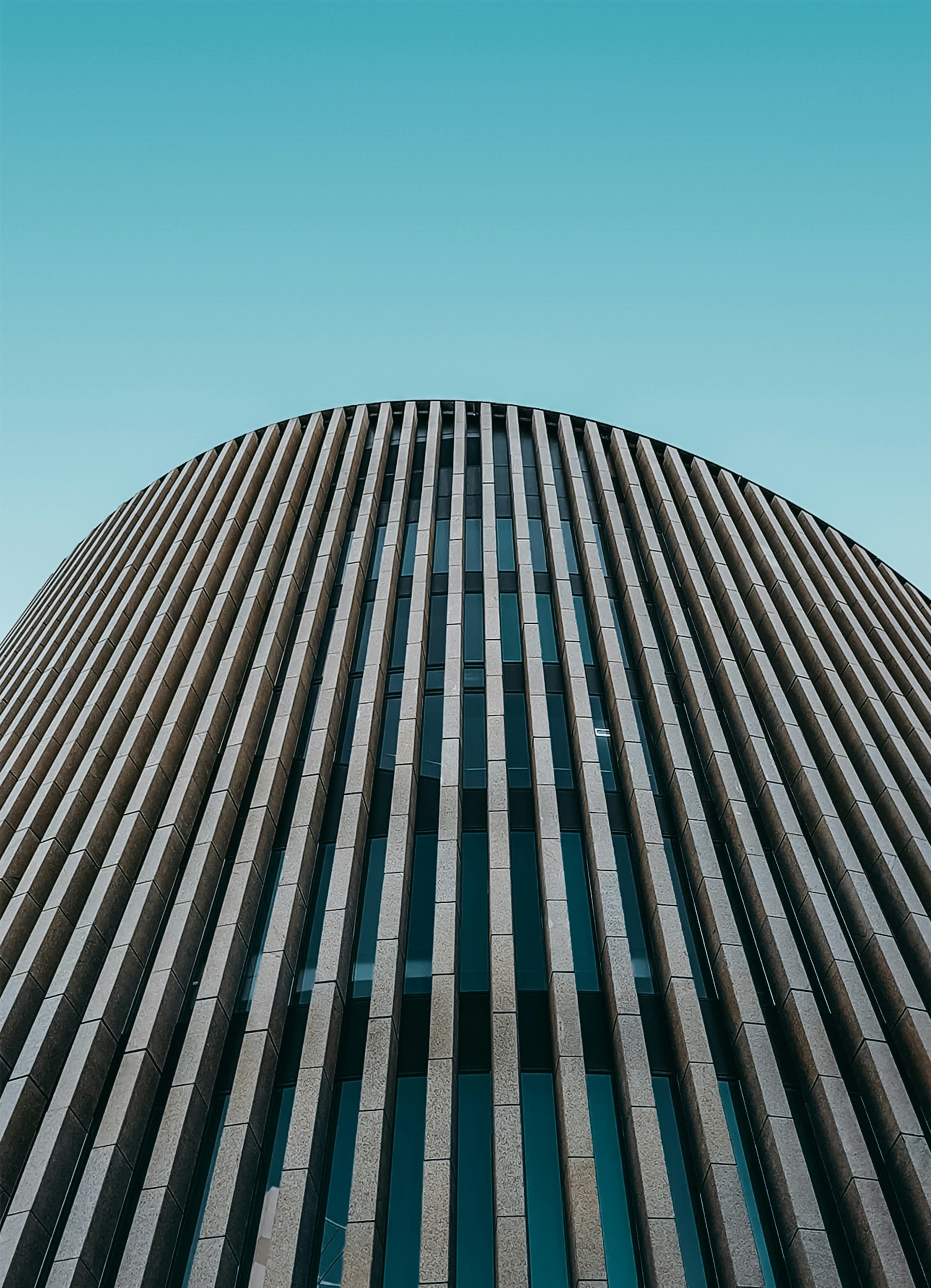 South African Executives Sentiment on AI’s Impact on Business Performance