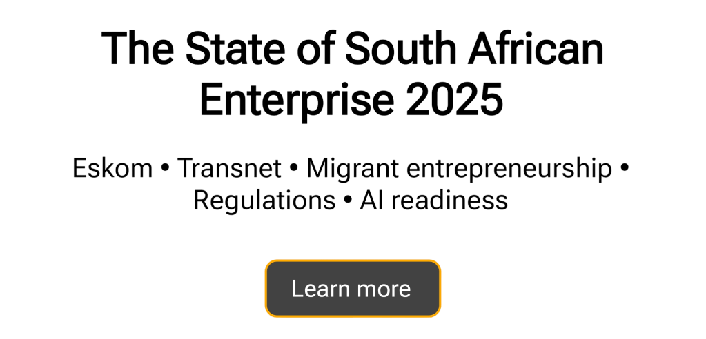 The State of South African Enterprise 2025